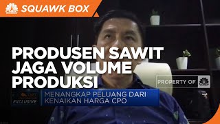 Harga CPO Melesat, Produsen Sawit Perluas Pasar Ekspor