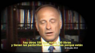 "OTRA VEZ" WEBSTER w