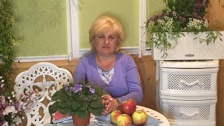 И. П. Неумывакин расплата за просвещение !!!