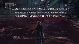 ルドウイーク後半戦 永久コンボ完成までの途中経過1　ブラボ