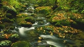 Лодки Kolibri - ремонт лодки
