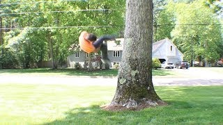 Wall Flip Tree Flow