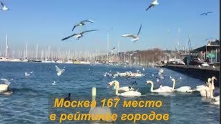 Москва 167 место в рейтинге..........№ 1188