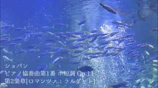 おやすみショパン ～心地よい眠りのための、ショパンメドレー～
