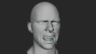 Maya: Joint Driven Face Rig R&D
