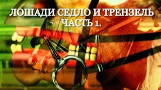 Лошади седло и трензель часть 1.