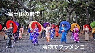 日本に恋した、フラメンコ 撮影第5弾＠静岡県