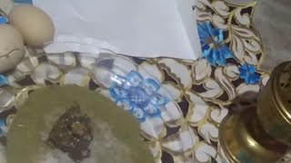 ❤وصفة لزواج البنات? العازبات ❤و المطلقات بإذن الله