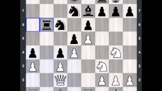 Kasparov, Garry (RUS) - Short, Nigel D (ENG),1-0 http://sunday.b1u.org ✔️