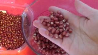 Soaking Adzuki Beans