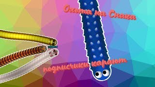 Охота на Снака | Подписчики карают!| HUNTING | Wormax.io | Vad Snak