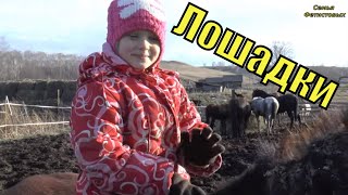 Лошадки. Ремонт трактора. Впечатления о прессе и граблях