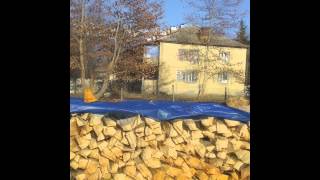 Панкиси: Проект Дрова