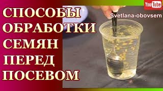 ОБЕЗЗАРАЖИВАНИЕ СЕМЯН ПЕРЕД ПОСЕВОМ НА РАССАДУ.ЗАЩИТА ОТ БАКТЕРИАЛЬНЫХ И ГРИБКОВЫХ ИНФЕКЦИЙ