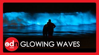 Californians Treated to Magical Show of Bioluminescent Waves