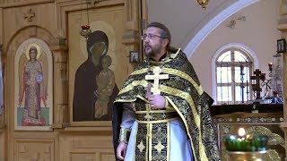 Жизнь по плоти это жизнь не человеческая, а конская. Священник Игорь Сильченков