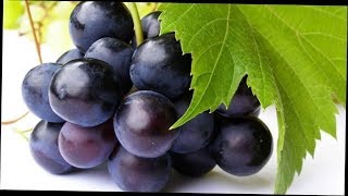 Вкусные Сорта Винограда
