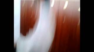 полет шмеля или великий херак