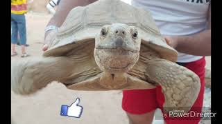 Честный ОТЗЫВ об отеле SUNRISE Diamond Beach Resort 5*, Sharm El Sheikh, Египет!!!