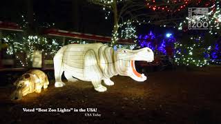 2020 PNC Festival of Lights - Cincinnati Zoo