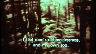КОШКОДАВ СИЛЬВЕР (полнометражный художественный фильм)