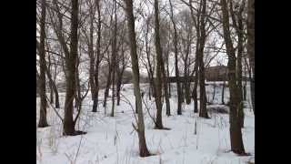 Вишгородський район, Глібівська сільська рада