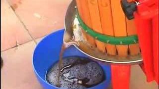 Cider Making