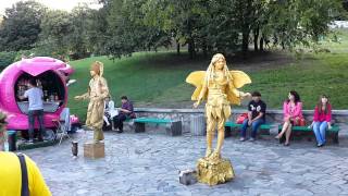 Красивые цветочные композиции