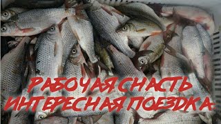 Рыбалка на Воблу снасть Drop Shot |Балхаш База Улькен