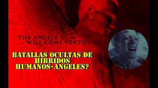 Estas películas te muestran los enfrentamientos entre híbridos/Legión/Ángeles y demonios
