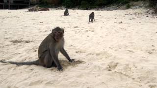 Monkey Island, Halong Bay, Vietnam