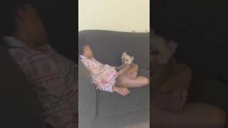 Our little girl sleep in and but the dog is licking