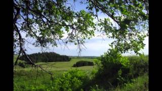 Гульнара Исмаева (Родные земли)