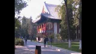 Пекинский Университет Beijing University Beida
