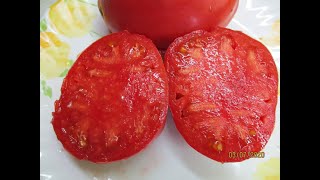 ТОМАТ "КЛУБНИКА ШЛАУБАХ". ПЕРВАЯ ДЕГУСТАЦИЯ. 