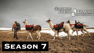 Opening Minute Bull! - Montana Rifle Elk | (Amazon Episode)