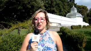 CRONACHE PONENTINE.: ON LINE LE NOTIZIE DA ARENZANO E COGOLETO