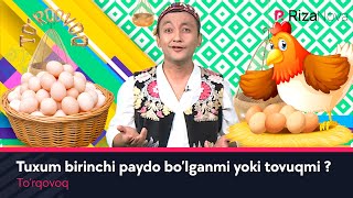 To'rqovoq - Tuxum birinchi paydo bo'lganmi yoki tovuqmi ? (hajviy ko'rsatuv)
