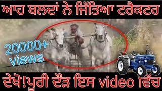Best ox race in Punjab in nagra ।। Fastest time ।। ਜੇਤੂ ਗੱਡੀ ।। Malwa Tv ।। khalsa ji in ।।