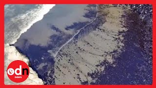 Tonga Volcano Aftermath: Oil Spill DESTROYS Peru Beach