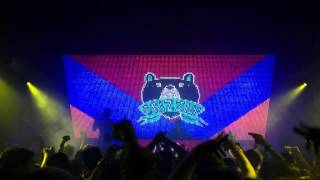 What You Know (Crizzly Remix) Live