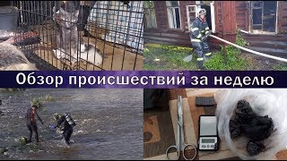 Программа "112": Обзор происшествий за неделю