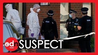 Murder Suspect NAMED in Stabbing of Tory MP