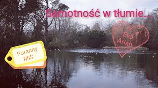 "Samotność w tłumie", Poranny MIŚ