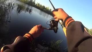Ловля карася пикером в сентябре на сложном водоёме