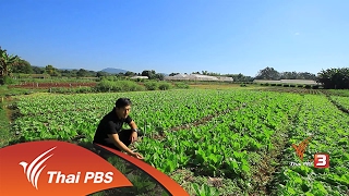 ทั่วถิ่นแดนไทย : เกษตรสร้างสุข โครงการส่งเสริมกสิกรรมไร้สารพิษตามโครงการพระราชดำริ จ.นครราชสีมา