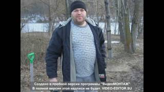 Коп монет центральный пляж Вайтс whites treasure master