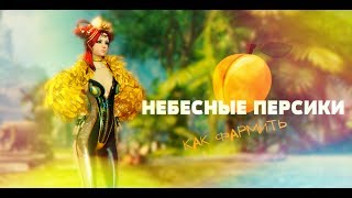 B&S: Как и где фармить персики?!