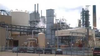Industry and Society: The Pulp and Paper Industry - Part 1
