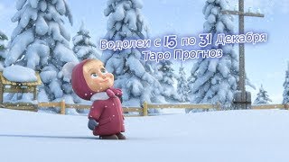 Водолей с 15 по 31 Декабря 2019 Таро Прогноз